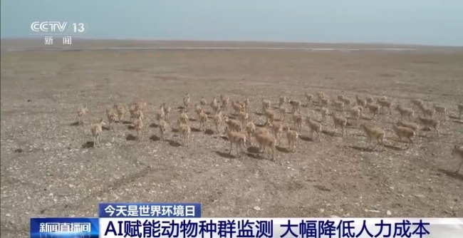 科技如何赋能美丽中国建设 多场景解锁