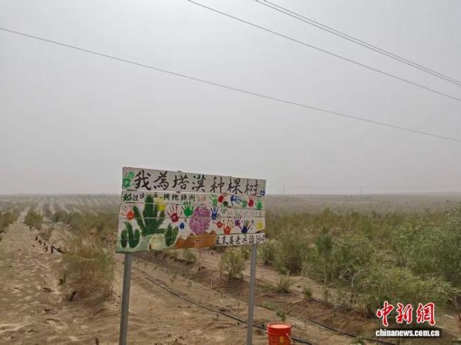 新疆持續(xù)推進塔克拉瑪干沙漠鎖邊工程 織密“綠圍脖”
