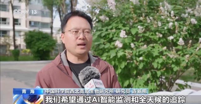 科技如何赋能美丽中国建设 多场景解锁