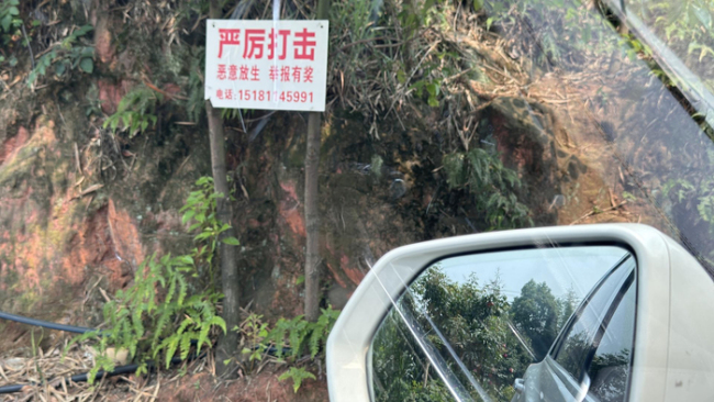 村中有人放生蛇？村民嚇得起雞皮疙瘩 放生行為引擔憂