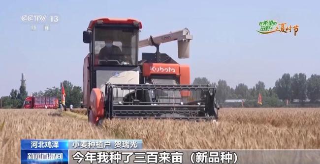 订单护航+科技助力 各地抢抓农时守好“粮袋子”