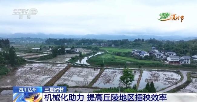 訂單護(hù)航+科技助力 各地?fù)屪マr(nóng)時(shí)守好“糧袋子”