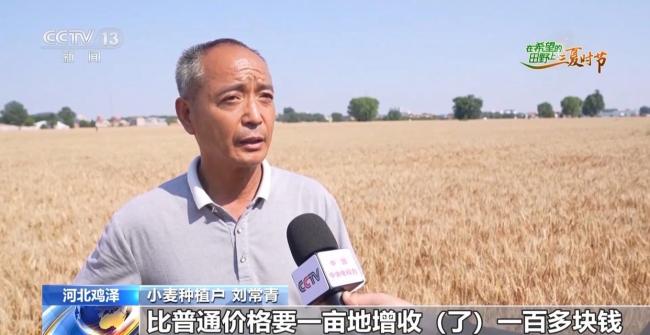 订单护航+科技助力 各地抢抓农时守好“粮袋子”