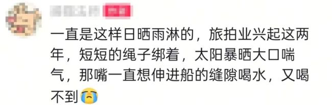 陽朔鸕鶿疑被繩索拴在船頭 水鳥狀況引擔憂