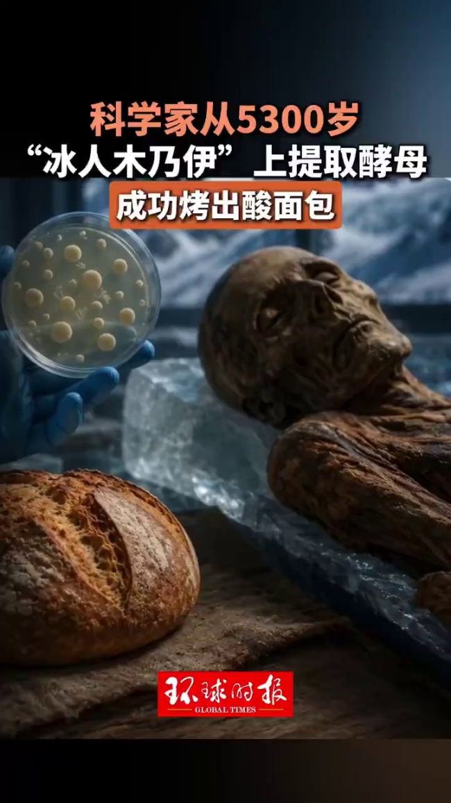 科学家从木乃伊体内产出新成果
