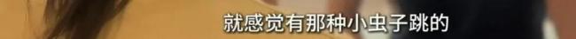母女租房子養(yǎng)十幾只流浪狗 房東崩潰 惡臭擾民引發(fā)關(guān)注