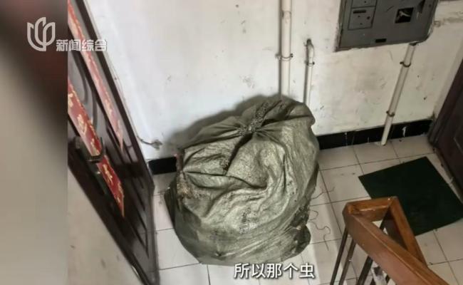 母女租房子養(yǎng)十幾只流浪狗 房東崩潰 惡臭擾民引發(fā)關(guān)注