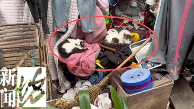 男子在家堆成百平米垃圾山 鄰居苦不堪言