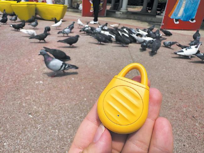 車上落鳥(niǎo)糞用驅(qū)鳥(niǎo)神器靠譜嗎