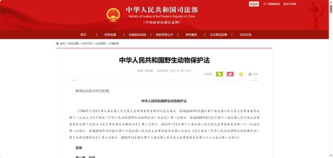 杭州一小區(qū)驚現(xiàn)“憤怒的小鳥” 紅嘴藍鵲頻襲居民