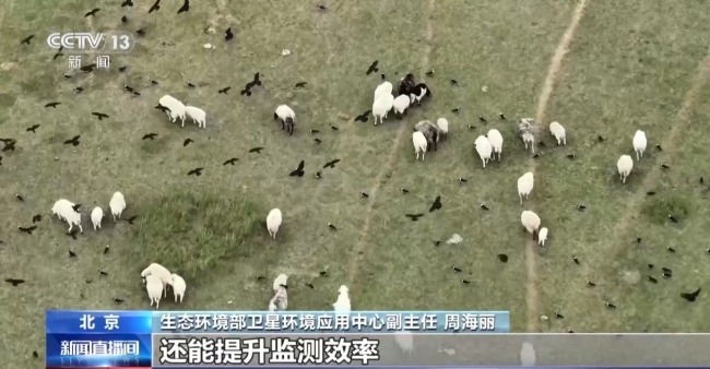 我國已建成五基空天地一體生態(tài)監(jiān)測網絡
