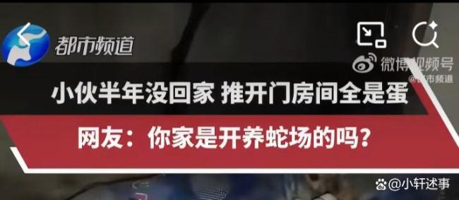 男子离家半年回家发现满屋蛇蛋