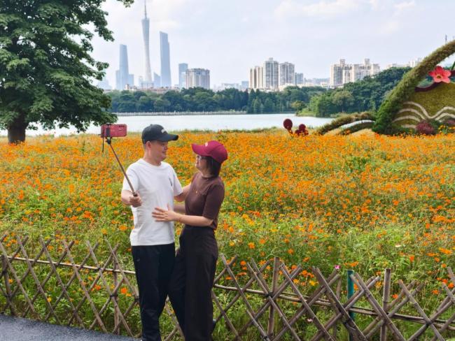 广州：金色花海美成童话世界