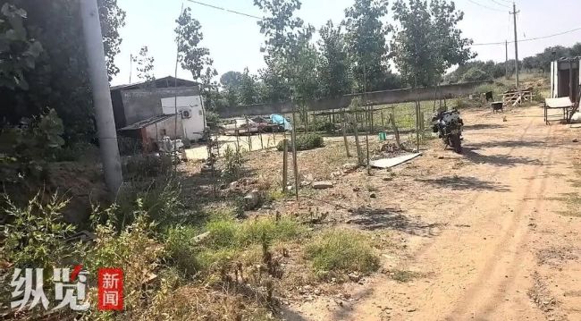 开封3岁男童失联后续 家属急寻线索