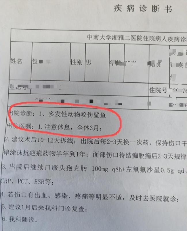 鲨鱼咬伤游客项目教练称小孩也能玩 游客遭鲨鱼攻击受伤