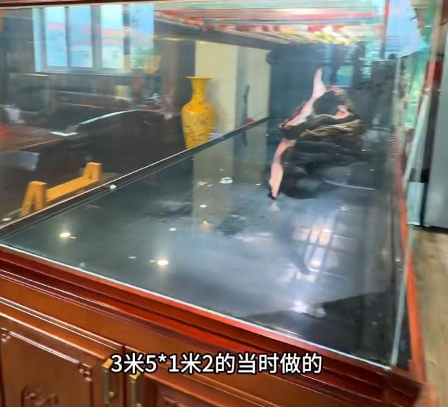 价值20万观赏鱼死亡主人含泪开席