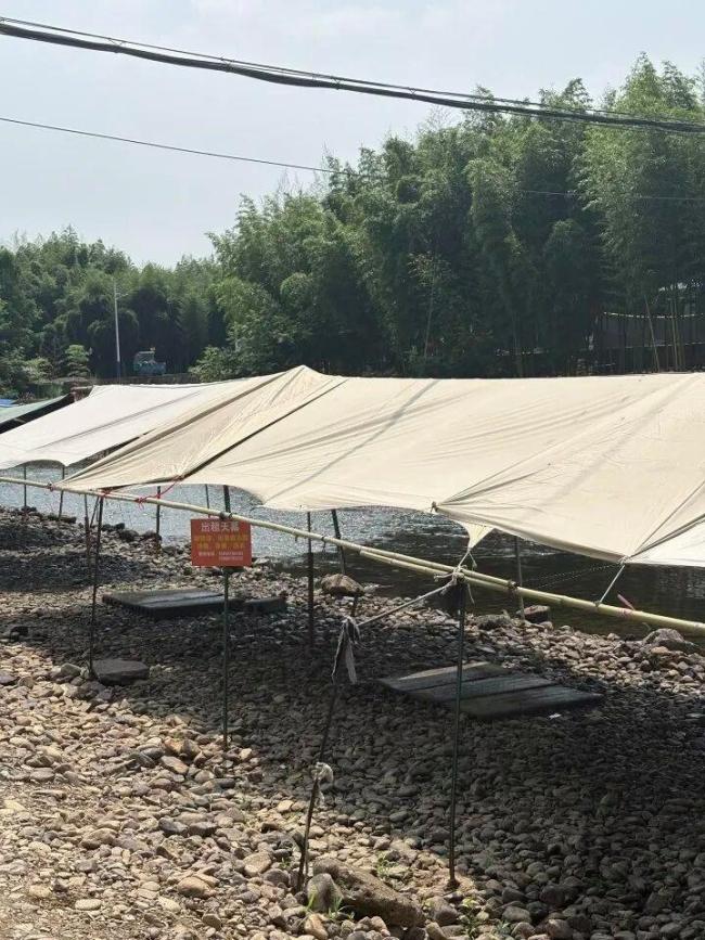 律师回应河边露营村民私自收费