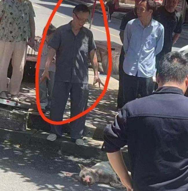 当地回应六岁女童被狗咬伤 多部门联合处置安全隐患