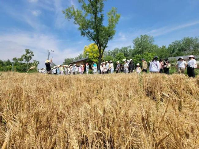 一键解锁“端午N种打开方式” 节日仪式感与城市烟火气