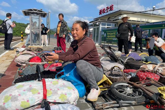 组图：公益慢火车串起京冀城乡烟火气