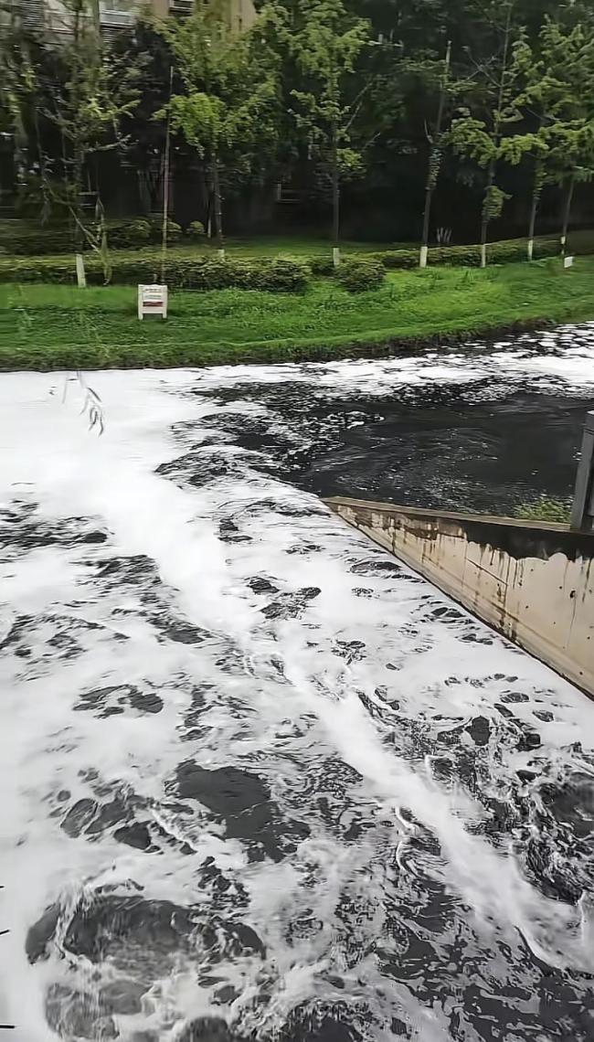 河南一河道漂浮白色泡沫 当地回应 雨水管网淤泥溢流所致