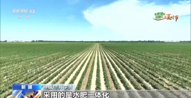 全国多地夏收夏管稳步推进 科技助力高效作业