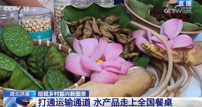 洪湖碧水忆峥嵘 红色水乡绘就乡村振兴新图景