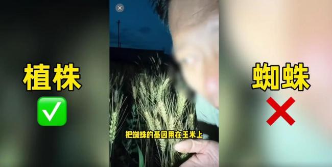 网红诋毁袁隆平成果 中国食品报发声