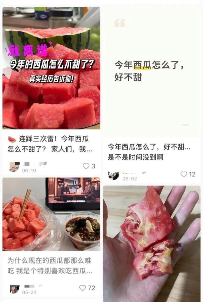 农艺专家：西瓜口感确实不如往年