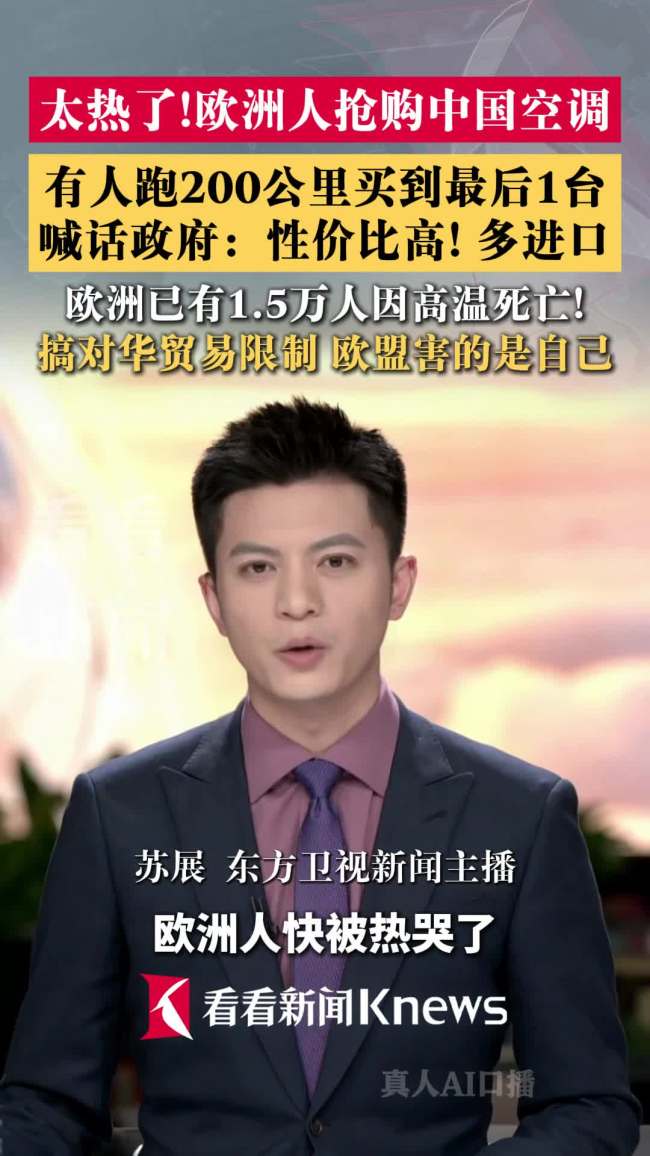 欧洲人加价抢购中国空调 热浪下的救命神器