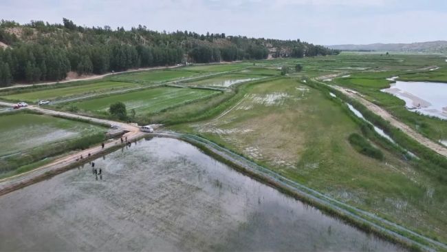 因地制宜兴产业 深耕乡土谋振兴