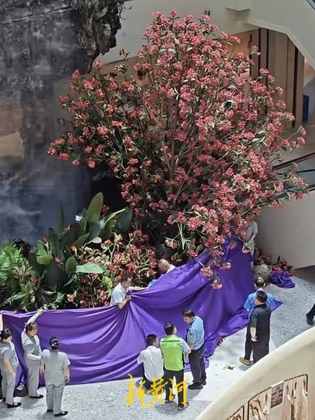 西安一商场发生人员坠楼?警方回应