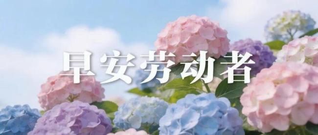 签收15箱茅台不验货夫妻竟是电诈犯