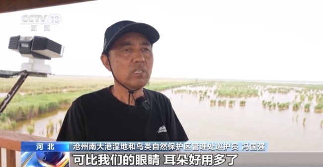 濒危种群稳中有升 我国鸟类保护成效显著