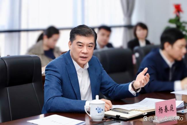 广西商务厅原厅长杨春庭被查 曾手握核心权力