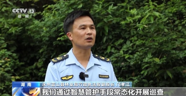 濒危种群稳中有升 我国鸟类保护成效显著