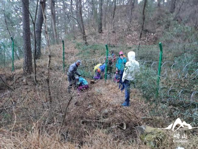 青岛崂山现泰山同款刀片网 景区回应布设位置