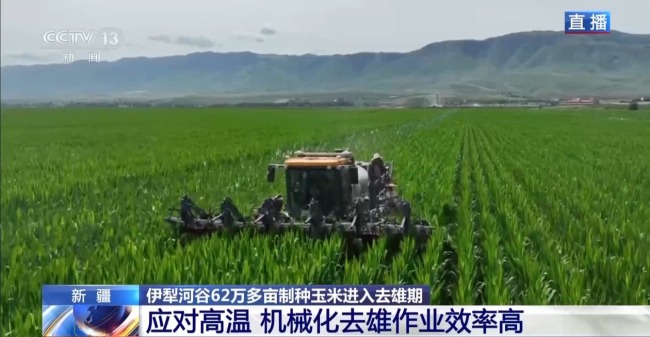 田间地头显身手 看机器人如何高效作业