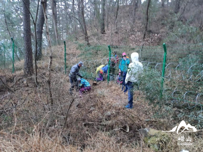 青岛崂山被曝设“刀片网” 景区回应 仅限非开放区域