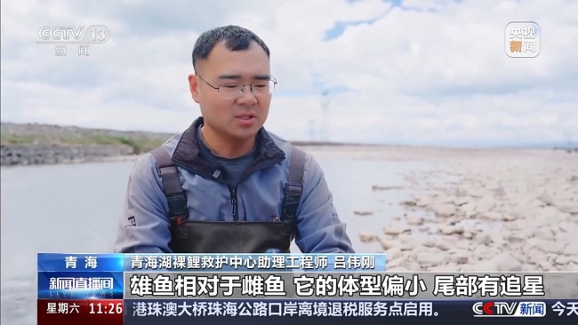 科技监测 双线守护青海湖湟鱼洄游
