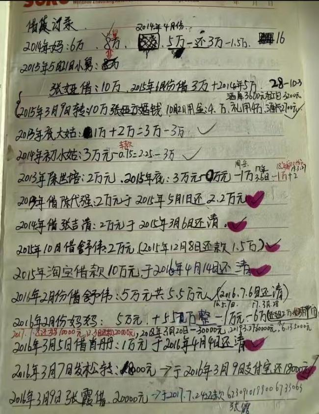 张雪将还清近亿债务 坚守诚信底线