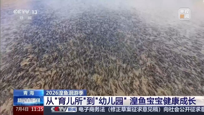 科技监测 双线守护青海湖湟鱼洄游