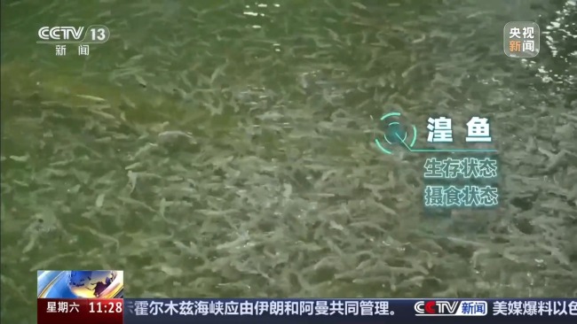 科技监测 双线守护青海湖湟鱼洄游