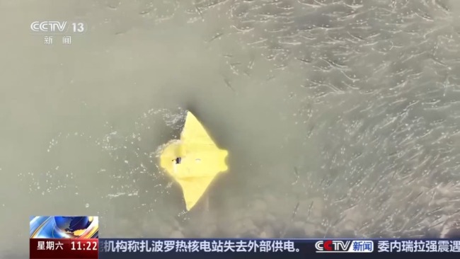 科技监测 双线守护青海湖湟鱼洄游