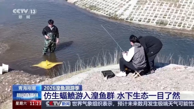 科技监测 双线守护青海湖湟鱼洄游