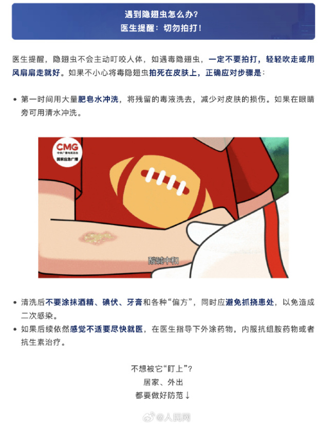 注意！遇见隐翅虫不要用手拍 如何避免被隐翅虫盯上