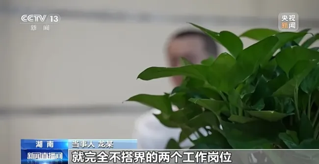 电工突然被调去养猪法院判了
