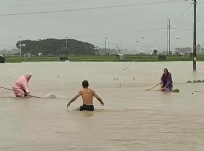 养殖场有蛇逃出 村民赤身积水中抓蛇 洪水引发蛇群外逃险情