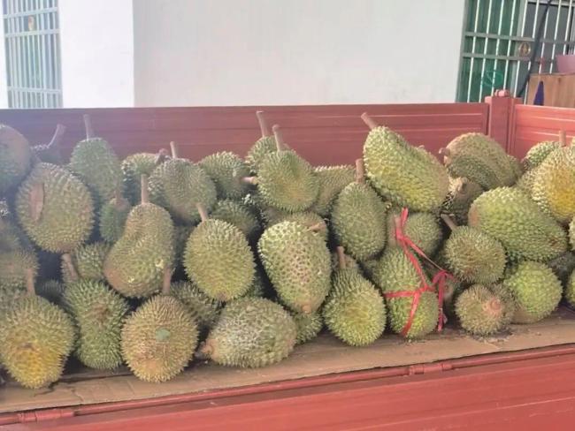 海南有力应对台风“美莎克” 全链条保障体系护航