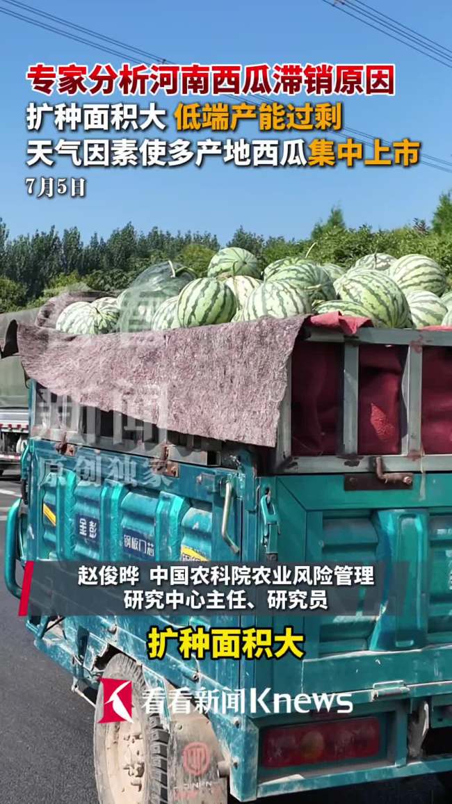 河南西瓜滞销原因